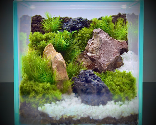 ade5a2a97a9ba282d1567b2f3c6b36