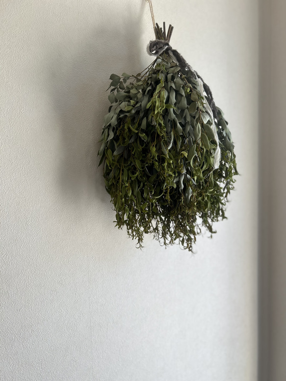 ドライフラワー アルビダユーカリのシンプルスワッグ スワッグ 葉つみ