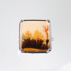 デンドリティック アゲート リング / Dendritic Agate Ring Ll2 4枚目の画像