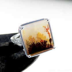 デンドリティック アゲート リング / Dendritic Agate Ring Ll2 1枚目の画像