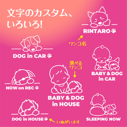 DOG IN CAR/パグ【カッティングステッカー】手書きわんこ 4枚目の画像