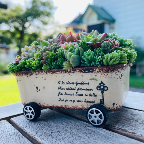 多肉植物の寄せ植え️♡ミニカー寄せ2点セット️♡そのまま飾れる