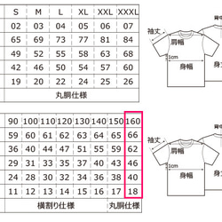  第5張的照片