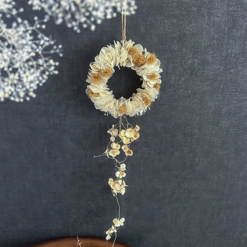 ルナリア　ドライフラワー ルナリアのドライフラワー