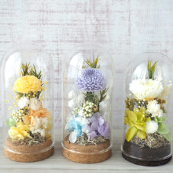 lavender✳︎ガラスドームアレンジ/ メッセージタグ / ラベンダー