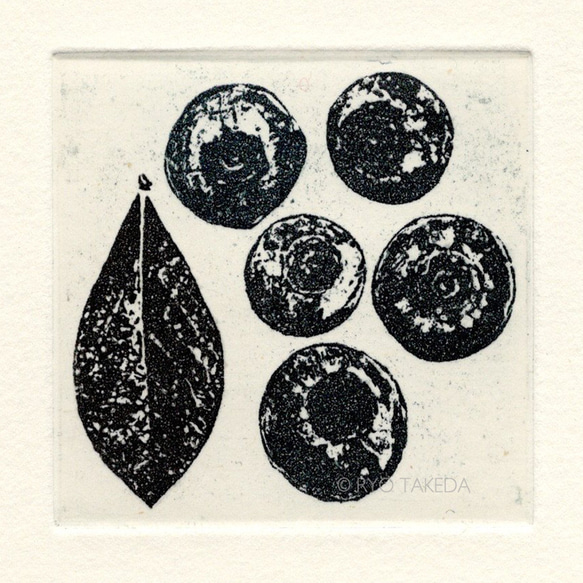 版画ゆうびん no.20 “blueberry” | 銅版画 | ブルーベリーの絵 4枚目の画像