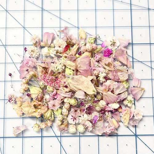 HANABIRA NO.102 ピンクミックス ドライフラワー 花材 その他素材 meow  