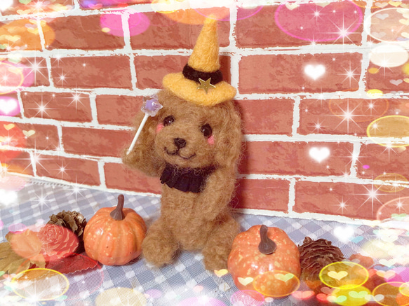 ✨わくわくハロウィントイプードルちゃん✨ 2枚目の画像