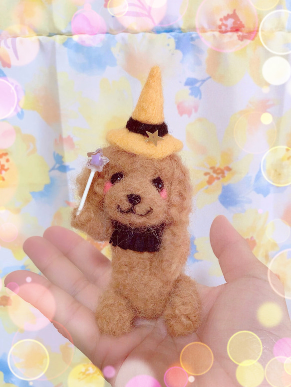 ✨わくわくハロウィントイプードルちゃん✨ 3枚目の画像