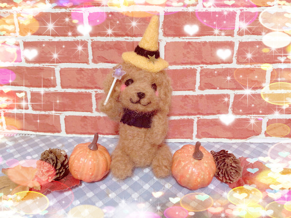 ✨わくわくハロウィントイプードルちゃん✨ 1枚目の画像