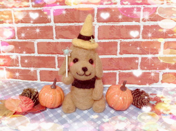 ✨わくわくハロウィンダックスちゃん✨ 1枚目の画像