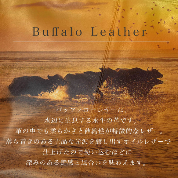 名片夾防水高貴名片夾無口袋耐用推薦男士HAK017-NO 第7張的照片