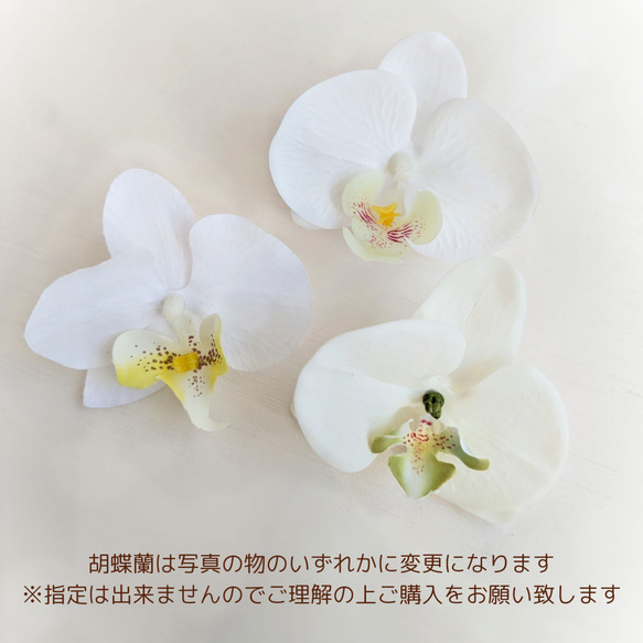 【胡蝶蘭】髪飾り 成人式 卒業式 結婚式 浴衣 ドライフラワー  水引 RC75 2枚目の画像