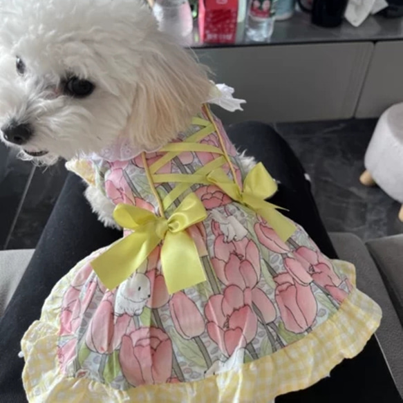犬服 犬ワンピース 綺麗 姫ドレス 6種類 ペットスカート 夏着 薄くて ...