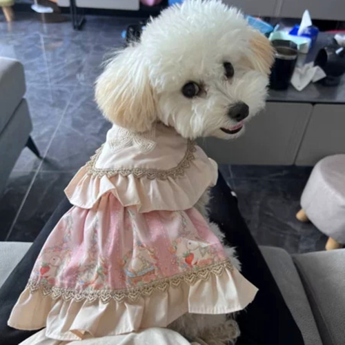 犬服 犬ワンピース 綺麗 姫ドレス 6種類 ペットスカート 夏着