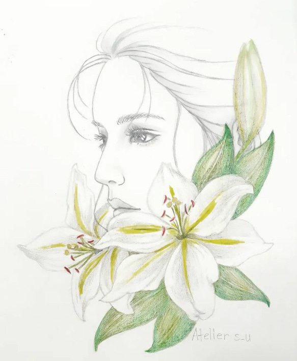 「花飾り　カサブランカ」A4鉛筆画(原画) 1枚目の画像