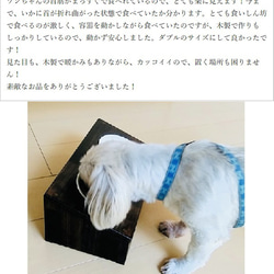 ペット用 傾斜のある食器台[サイズ変更可］高級 犬 猫 食器台 フードボウル スタンド 12枚目の画像