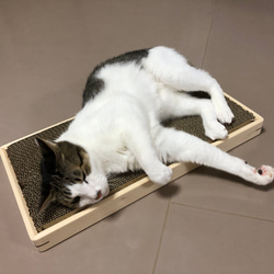 『ワケありな逸品』猫の爪とぎケース・爪研ぎ台・ベッド・木製　ダブル　CI 1枚目の画像