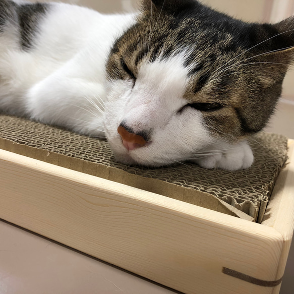 『ワケありな逸品』猫の爪とぎケース・爪研ぎ台・ベッド・木製　ダブル　CI 9枚目の画像