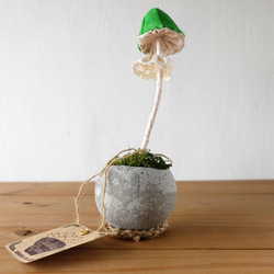 【 Fabric Kinoko 07 】（コンクリート鉢に入った布の植物飾り・キノコ） 6枚目の画像