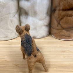 羊毛フェルト犬 エアデールテリア 置物 7枚目の画像