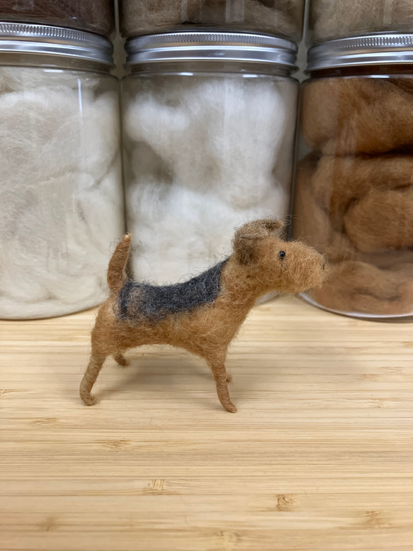 羊毛フェルト犬 エアデールテリア 置物 3枚目の画像