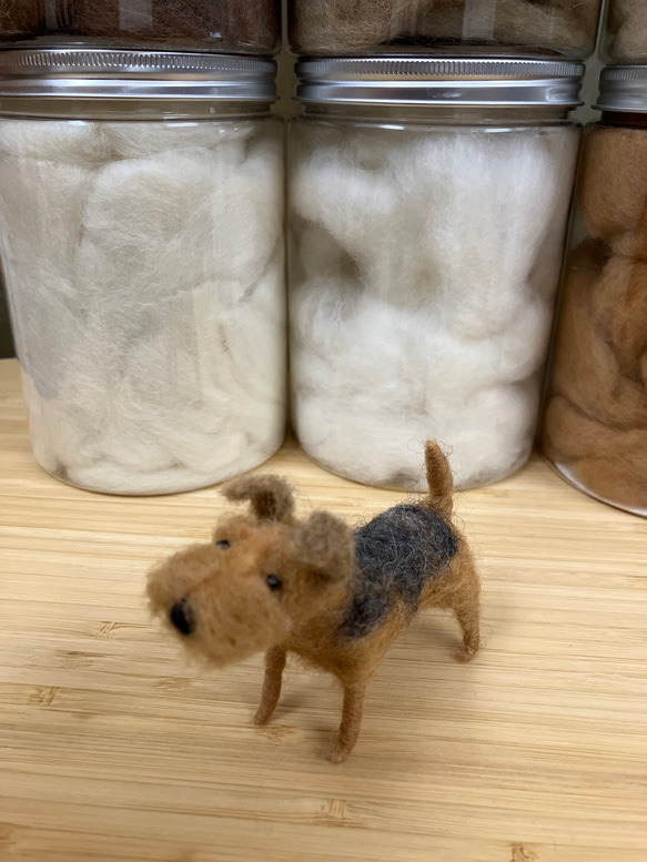 羊毛フェルト犬 エアデールテリア 置物 5枚目の画像
