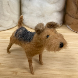 羊毛フェルト犬 エアデールテリア 置物 2枚目の画像