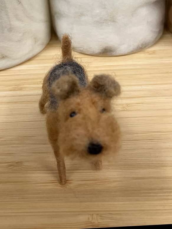羊毛フェルト犬 エアデールテリア 置物 4枚目の画像