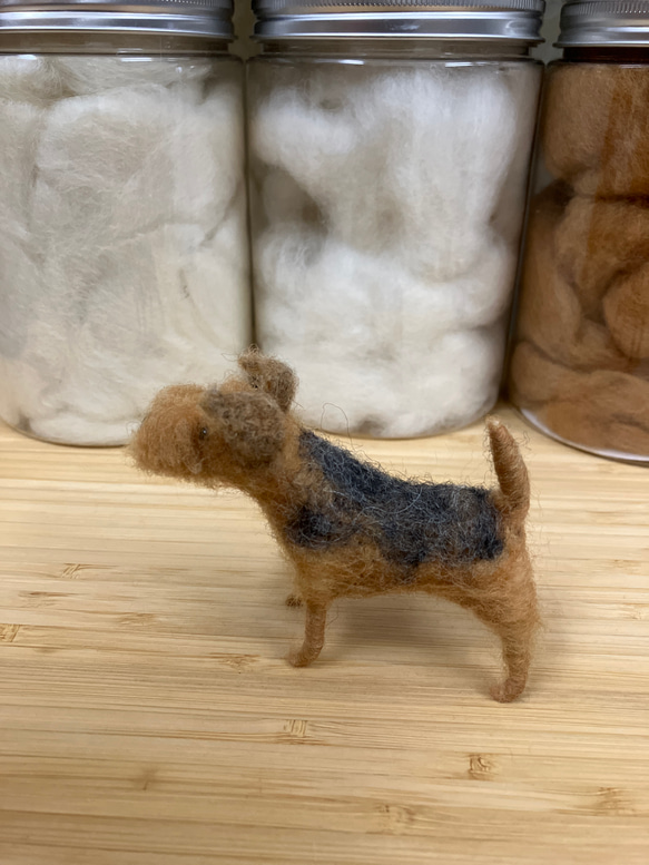 羊毛フェルト犬 エアデールテリア 置物 6枚目の画像