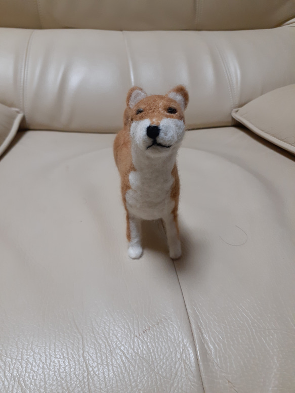 羊毛フェルト 柴犬 約20cm - メルカリ