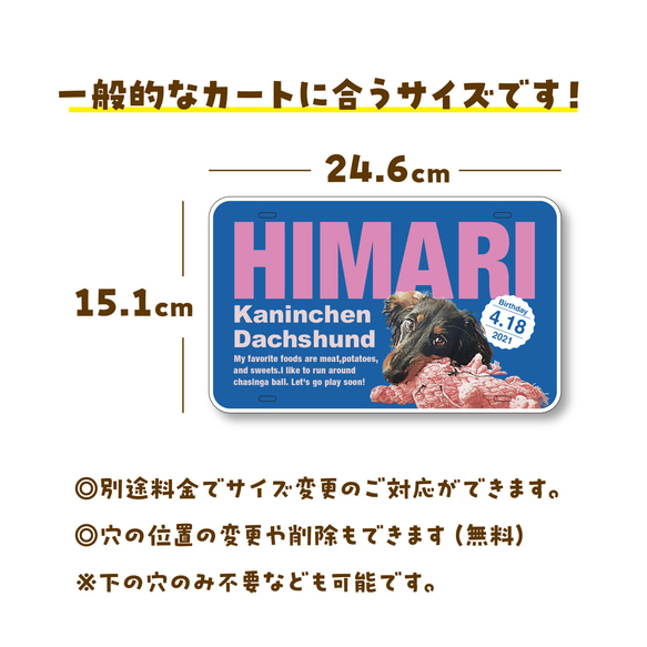 カートネームプレート〈ポップstyle〉★犬猫 うちの子 ★オーダーメイド ★取付フック付き ★写真英字デザイン 7枚目の画像