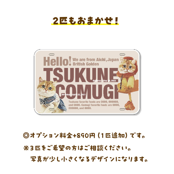 カートネームプレート〈ポップstyle〉★犬猫 うちの子 ★オーダーメイド ★取付フック付き ★写真英字デザイン 11枚目の画像