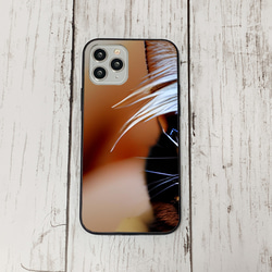 iphoneケース2-3-7 iphone 強化ガラス 猫・ねこ・ネコちゃん 箱21 かわいい アイフォン iface 1枚目の画像
