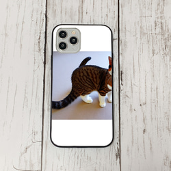 iphoneケース2-3-11 iphone 強化ガラス 猫・ねこ・ネコちゃん 箱21 かわいい アイフォン iface 1枚目の画像