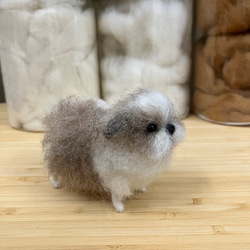 羊毛フェルト犬 ミニチュアシュナウザー 白シュナ ハンドメイド