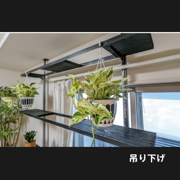 アイアン家具　観葉植物　植物棚　多肉植物　観賞棚　アイアン棚　棚　ラック　カーテンの開閉で紫外線調節　多用途にどうぞ 2枚目の画像