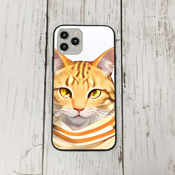 iphoneケース3-4-35 iphone 強化ガラス 猫・ねこ・ネコちゃん 箱21 かわいい アイフォン iface 1枚目の画像