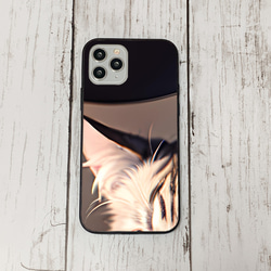 iphoneケース3-5-20 iphone 強化ガラス 猫・ねこ・ネコちゃん 箱21 かわいい アイフォン iface 1枚目の画像