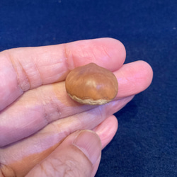 柿 小根付(ストラップ) その他アクセサリー 大月あきら 通販 16811949