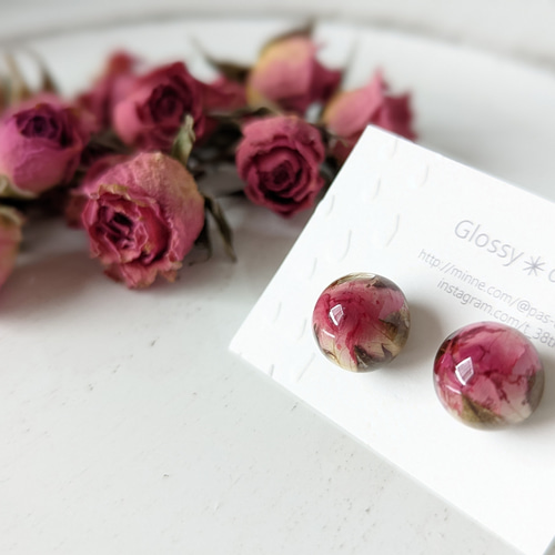 本物のバラのつぼみ【 香り立つ 】薔薇 の 精 〜 バレエ シリーズ