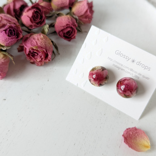 本物のバラのつぼみ【 香り立つ 】薔薇 の 精 〜 バレエ