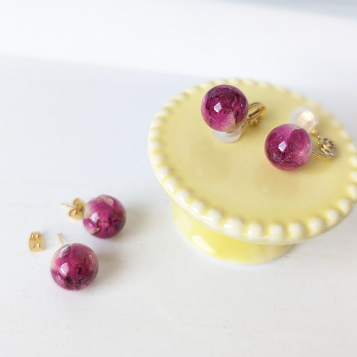 本物のバラのつぼみ【 香り立つ 】薔薇 の 精 〜 バレエ シリーズ