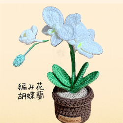 294db4a80731d58c54f2686ca34cf3