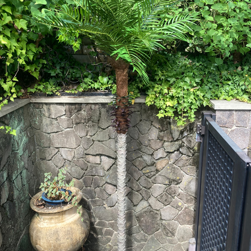 光触媒 人工観葉植物 ウォールグリーン フェイクグリーン フェニックス