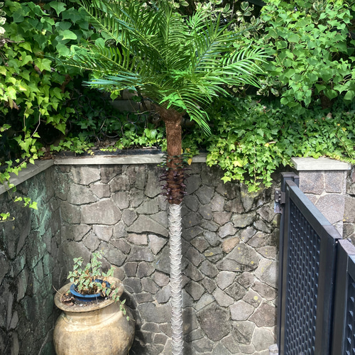 光触媒　人工観葉植物　ウォールグリーン　フェイクグリーン　フェニックス210 光触媒 人工観葉植物 ウォールグリーン フェイクグリーン フェニックス