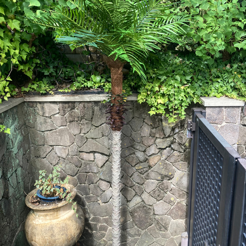 光触媒 人工観葉植物 ウォールグリーン フェイクグリーン ファースト