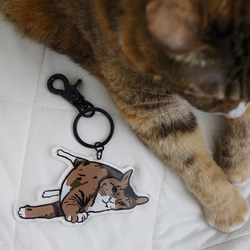米胖貓鑰匙圈 第1張的照片