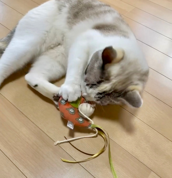 「ねこのkotori」＿キャットニップ入り　ことりさんのぬいぐるみ　猫用おもちゃ　猫じゃらし　キッカー 7枚目の画像