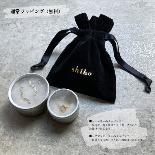 12星座・獅子座のピアス(片耳)【Constellations pierce -Leo-】 ピアス
